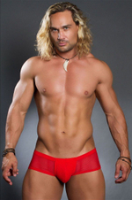 Мужские трусы-боксеры с полупрозрачными элементами Doreanse Net