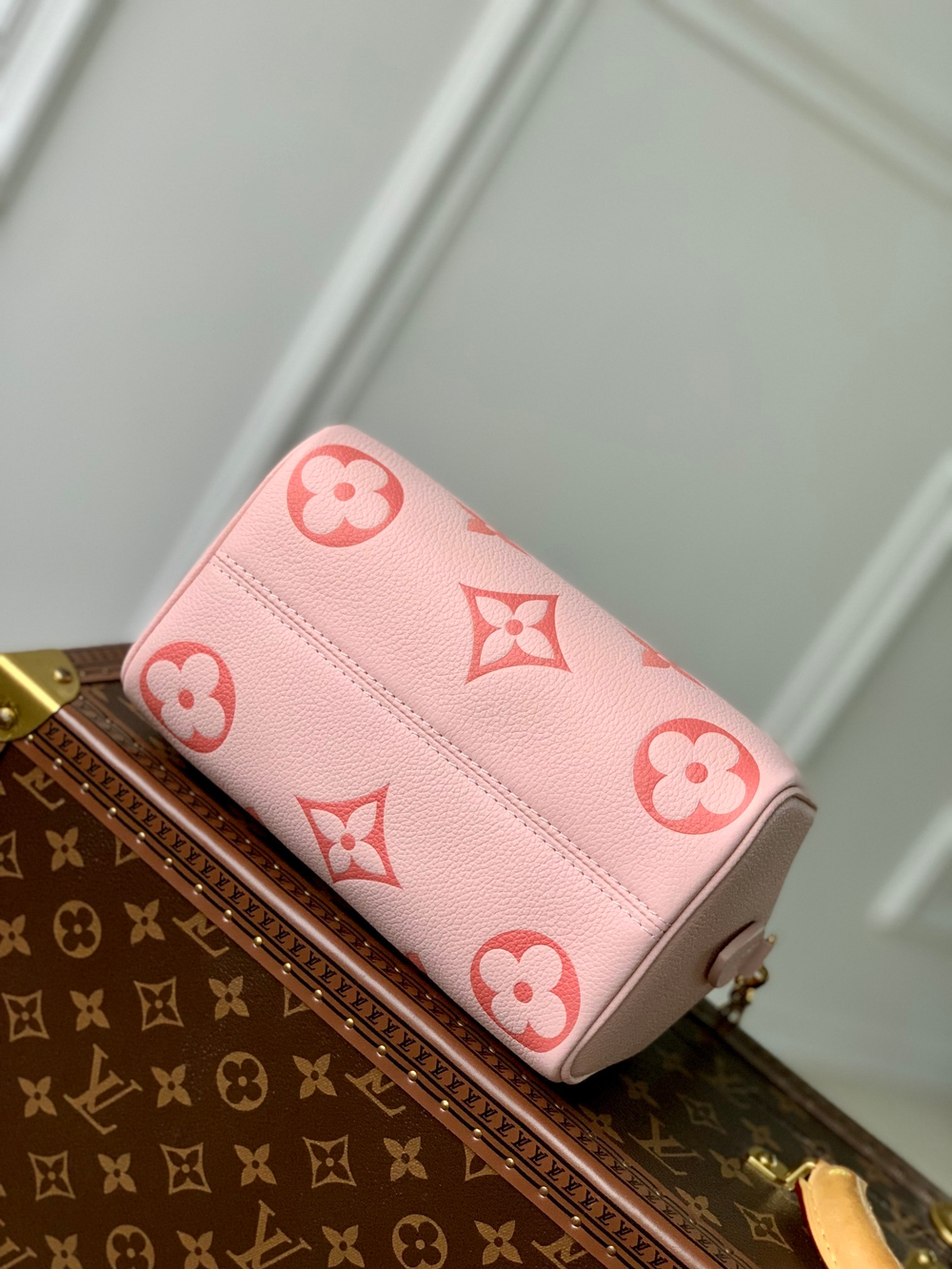 Louis Vuitton Speedy 20