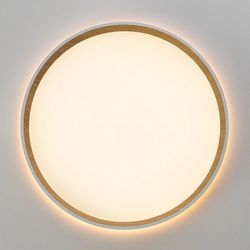 Накладной светильник Citilux ETALON CL750320R