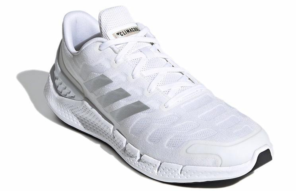 Кроссовки Adidas Climacool Ventania