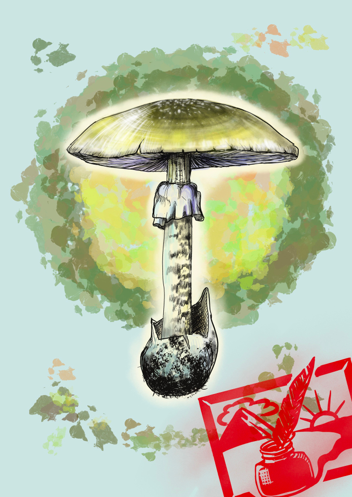 Изображение "Зелёная поганка"