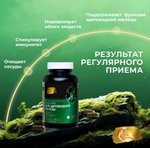 Концентрат Для щитовидной железы, 60 капсул