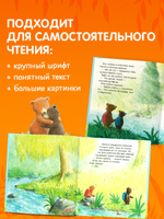 Книжки-картинки. Секрет храброго медвежонка