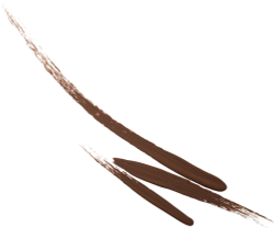 MAC Cosmetics Liquidlast 24 Hour Waterproof Liner - Подводка для глаз: eyeliner w plynie оттенок Coco Bar, 2 ml