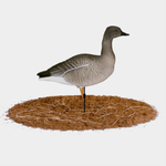 Гусь гуменник Duck Mania "ALFA"