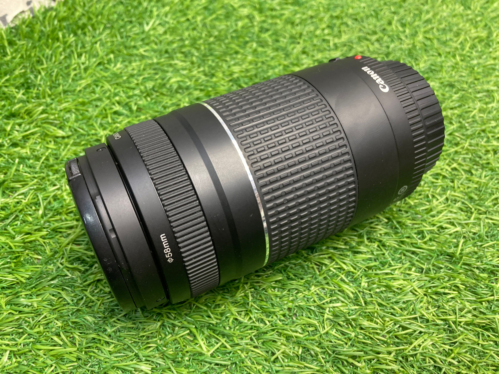 Canon EF 75-300mm 4-5.6 III