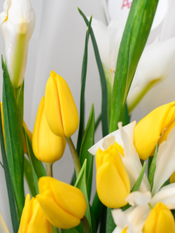 Дуо букет Ирисы с Тюльпанами