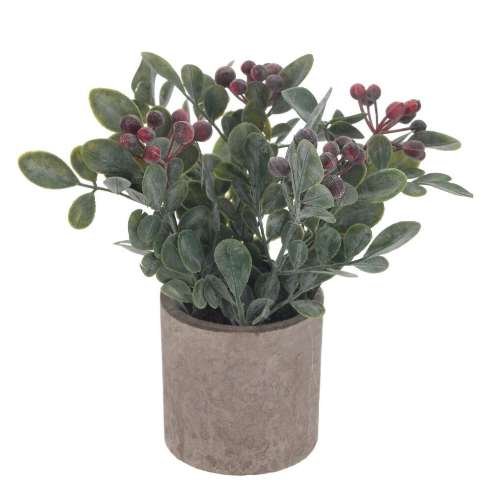 GAEM Цветочная композиция, L8 W8 H18 см