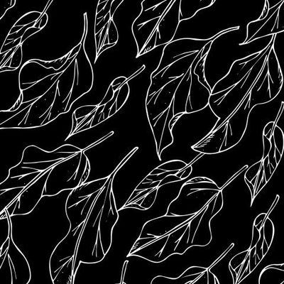 чёрно-белые листья