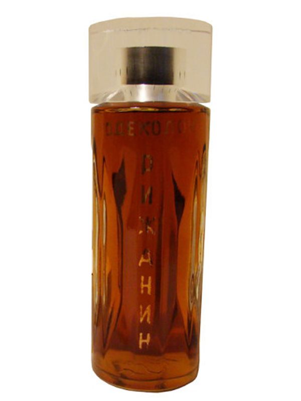 Dzintars Ridzinieks (Rizhanin)