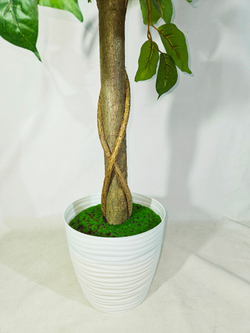 Яблоня с плодами 170см в кашпо