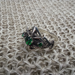 Кольцо. Отражение