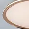 Потолочный cветильник LED4U L3020-600 GD