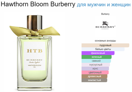 Тестер парфюмерии Burberry Hawthorn Bloom EDP 150ml Tester (тестер)