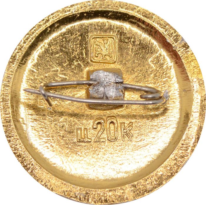Значок "Древний герб, Темников" булавка, герб, геральдика