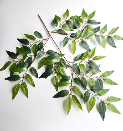 Ветки оливкового дерева / Арт 1009