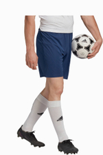 Шорты adidas Entrada 22