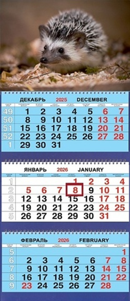 Календарь Трио 310*690мм на 2026г. Животные. Ёжик