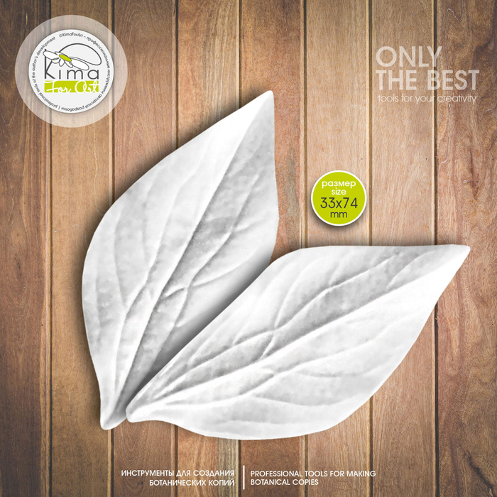 Пион лист маленький широкий