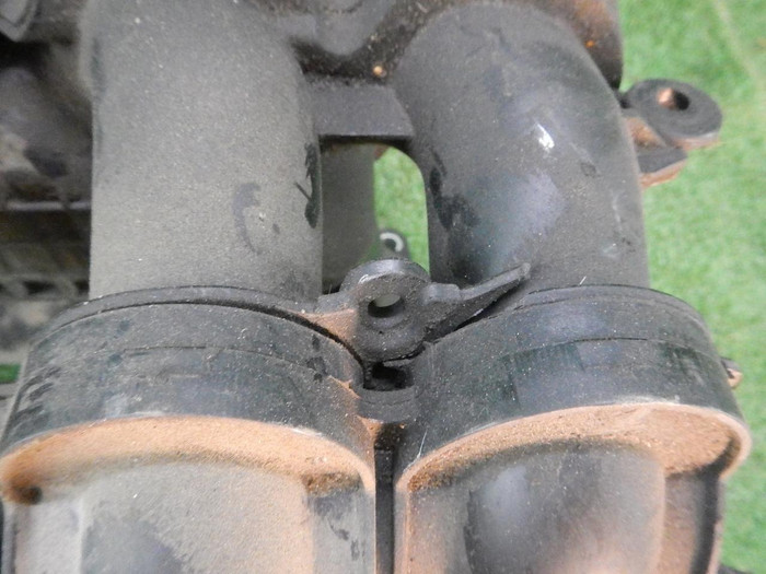DSCN4180.JPG