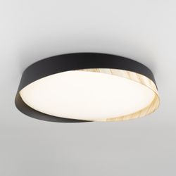 Citilux BONNY CL754350G LED RGB Светильник с пультом Белый+Венге