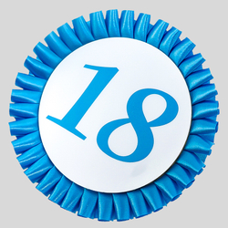 Номер участника. Диаметр 115 мм.