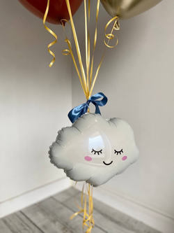 Воздушные шары на выписку из роддома №1107