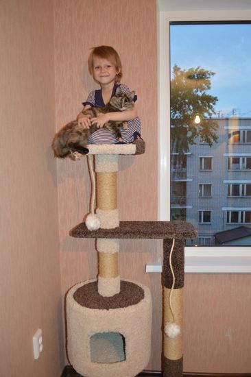 Комплекс для кошки Д-2