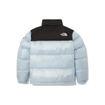 Куртки THE NORTH FACE Novelty Nuptse DownJacket Logo, NJ1DN50M