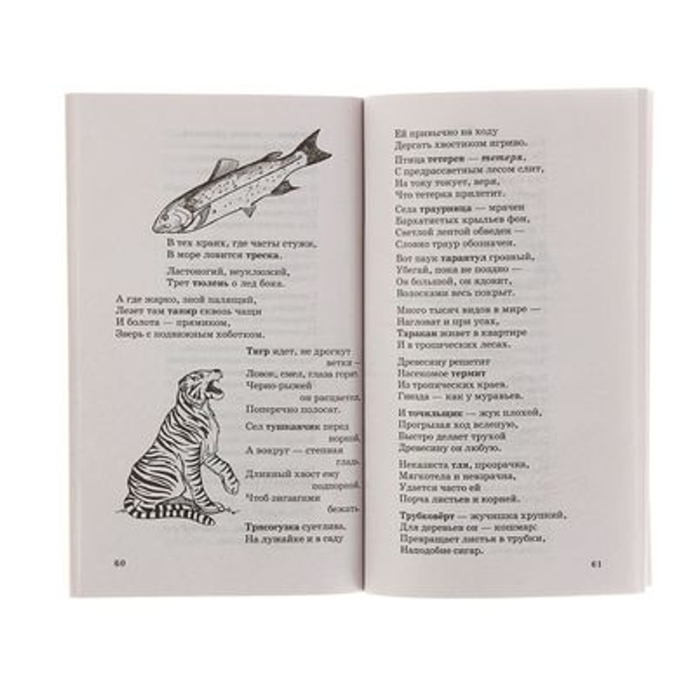 500 загадок и стихов о животных для детей