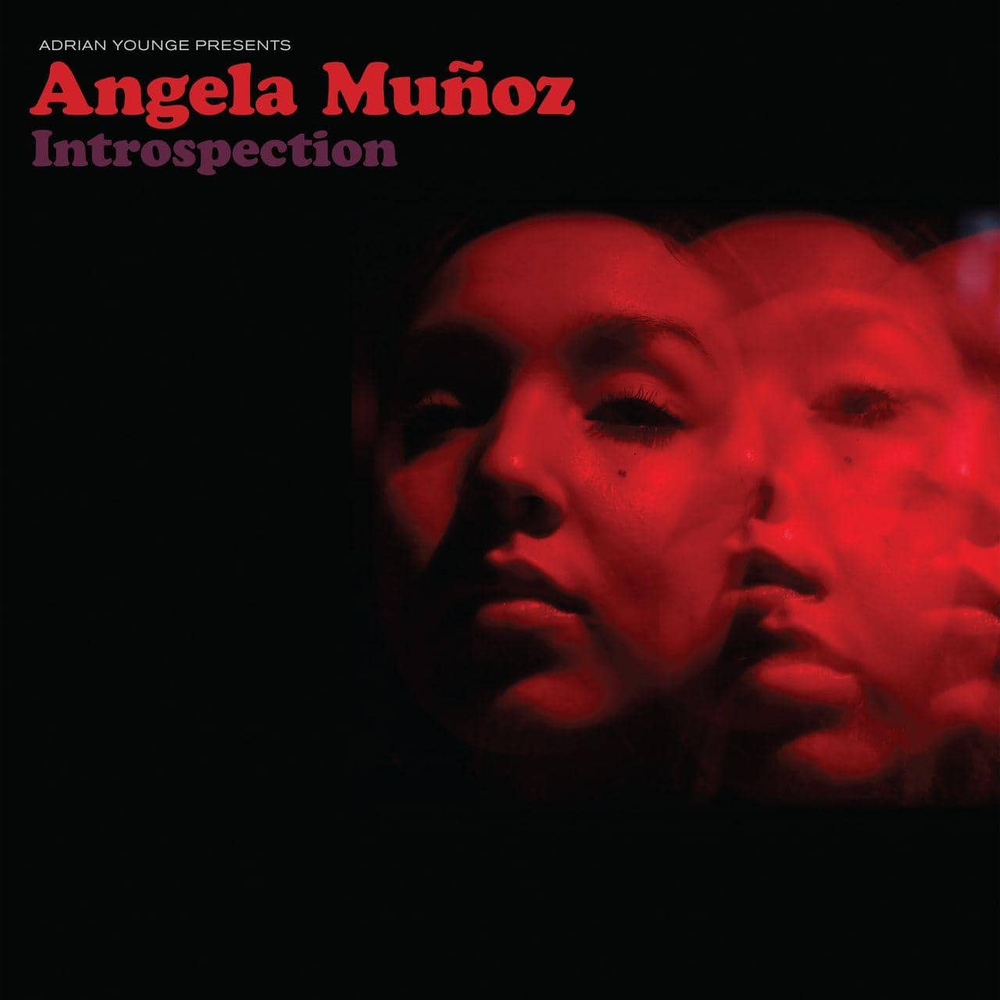 Angela Munoz - Introspection - 2025 Reissue - новая виниловая пластинка