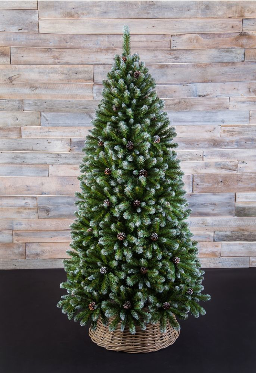 Ель Императрица с шишками 215см заснеженная Triumph Tree