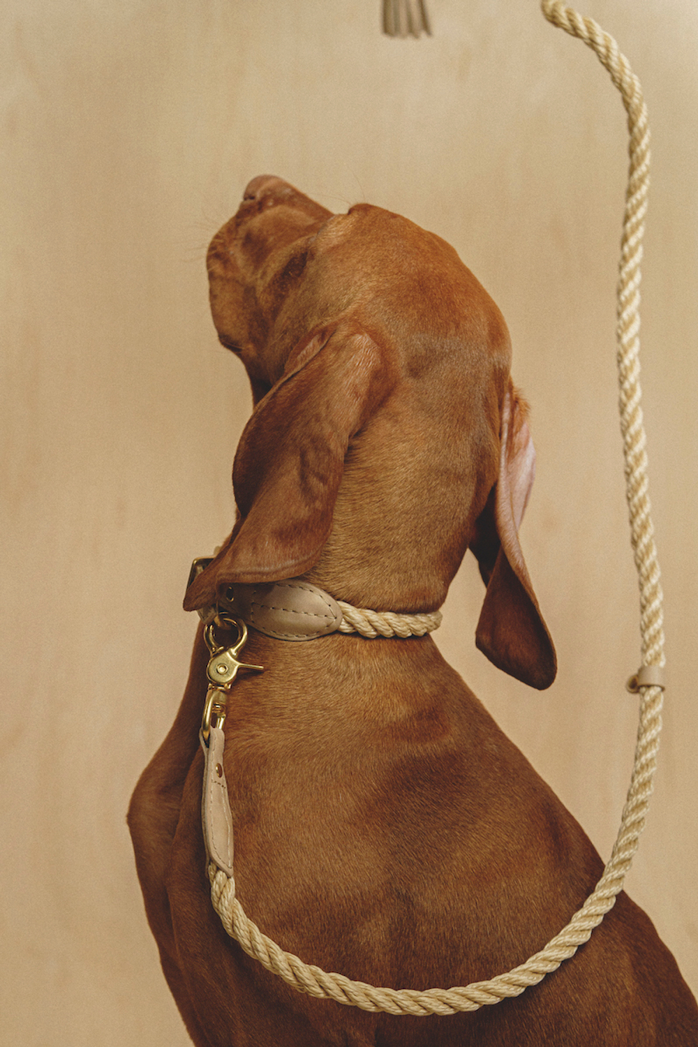 Поводок "Кантри-Пони" Бежевый