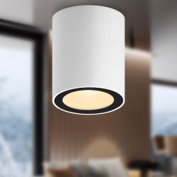 Светильник накладной ЭРА OL48 WH/BK под лампу MR16 GU10 IP44 черный/белый | Накладные светильники