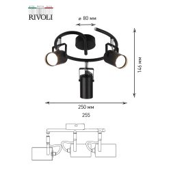 Светильник настенно-потолочный спот Rivoli Mobile 7011-703 3 x GU10 5 Вт поворотный уценка | Rivoli