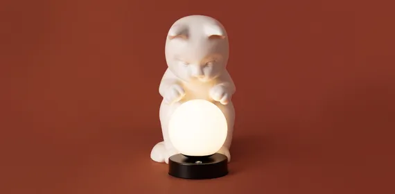 Настольный светильник Freya FR5607TL-01W