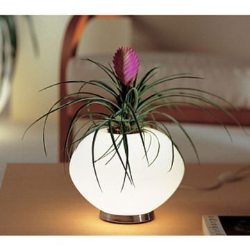 лампа  Biosfera Lamp by Giovanni D'Ambrosio