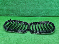 Решетка радиатора BMW X5 G05 (2018-2023)