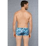 Мужские трусы боксеры с принтом Doreanse 1706