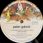 Peter Gabriel / Peter Gabriel (2LP)