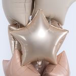 Шар (18''/46 см) Звезда, Звездное Золото, Матовый, 1 шт.