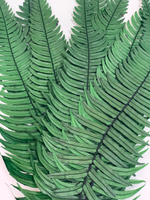 Папоротник Рокферн