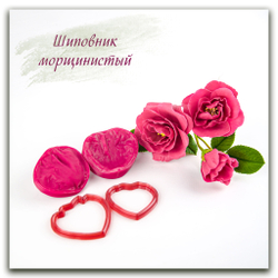 Лепесток шиповника морщинистого