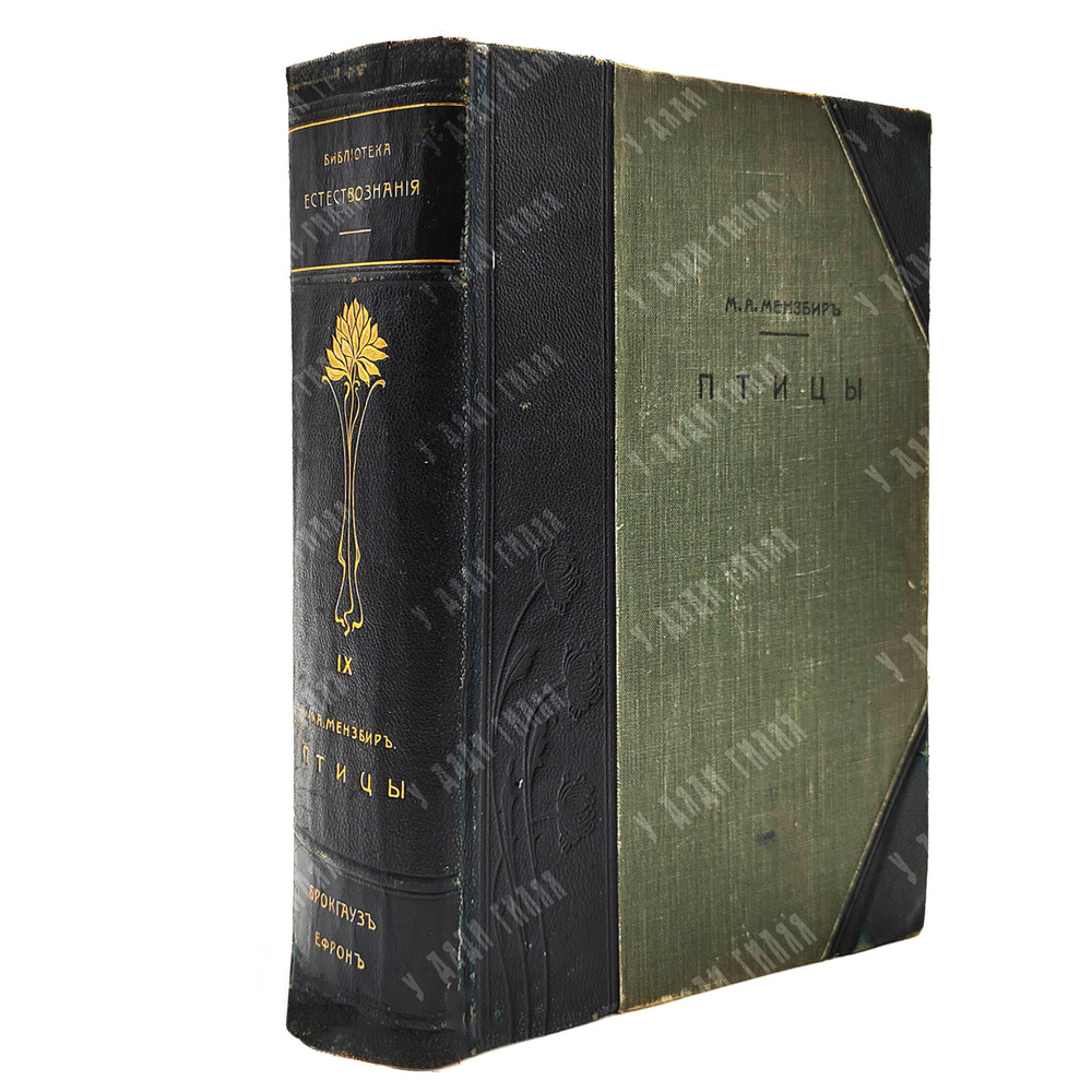Мензбир М. А. Птицы. - СПб.: Типография Акц. общ. Брокгауз-Ефрон, 1904–1909.