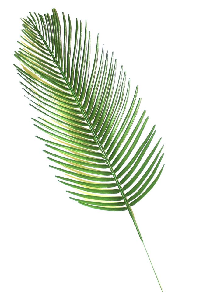 Лист пальмы пластик