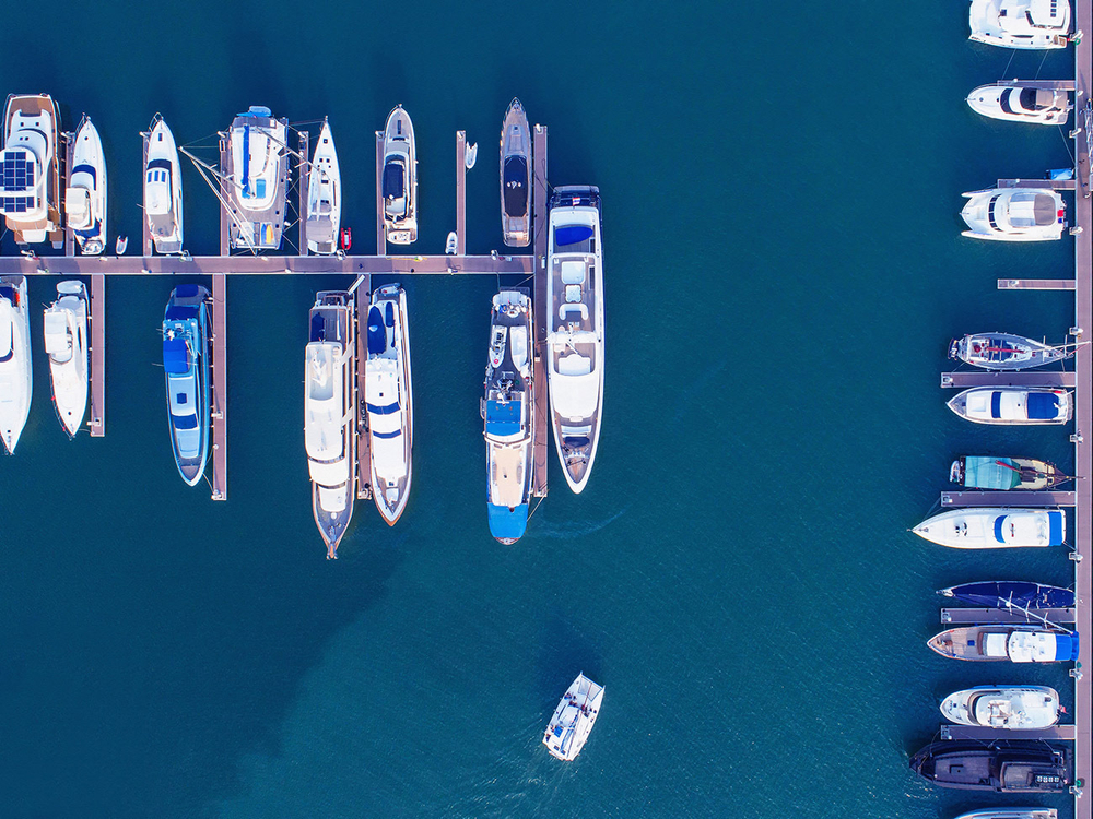 Дизайнерские обои Wall Street Bird see