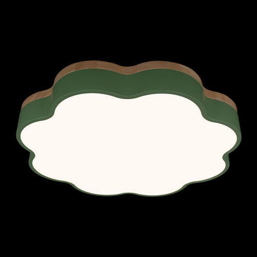 Потолочный светодиодный светильник Loft It Axel 10225/36 Green