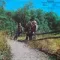 Creedence Clearwater Revival – Green River - Coloured LP