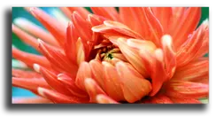 Постер "Пробуждение весны"