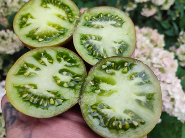 Мадди Вотерс (Muddy Waters) сорт томата